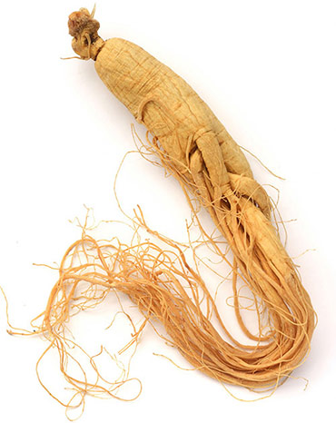 ginseng-3