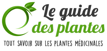 Le guide des plantes