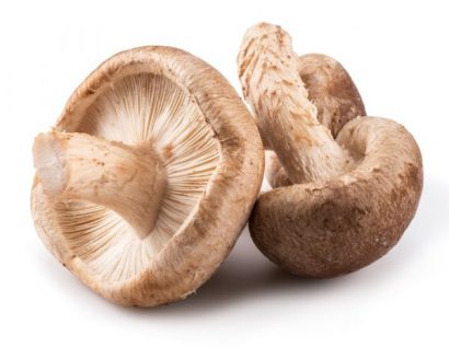 shiitake