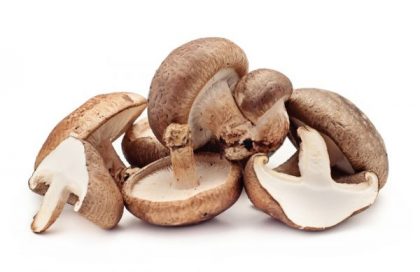 shiitake