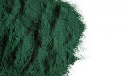 bienfaits de la spiruline