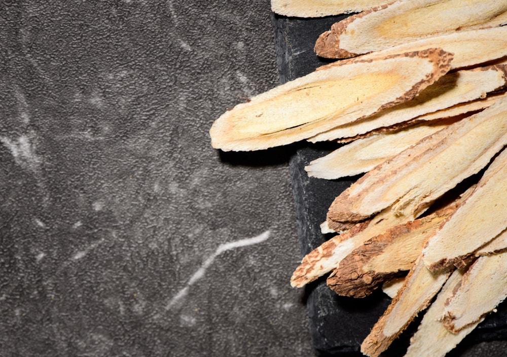 Astragale | Le guide des plantes