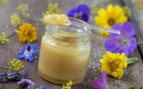 bienfaits de la gelée royale