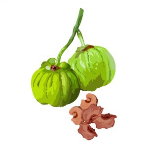 bienfaits Garcinia Cambogia