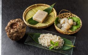 bienfaits du konjac