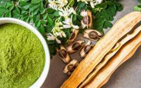 bienfaits du moringa