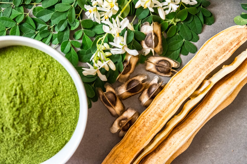 Moringa Le guide des plantes