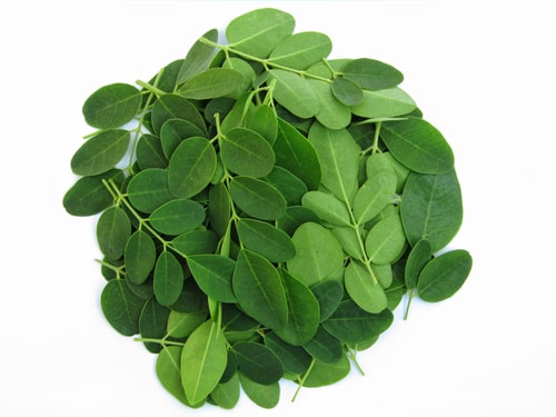 bienfaits du moringa